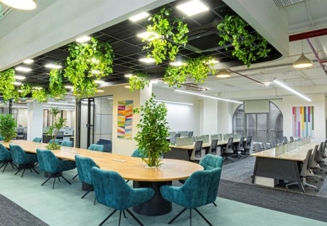 5484e0e6-d1be-4044-a48f-709597200332